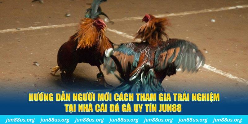 win 33 loi game dot kich ket noi may chu that bai