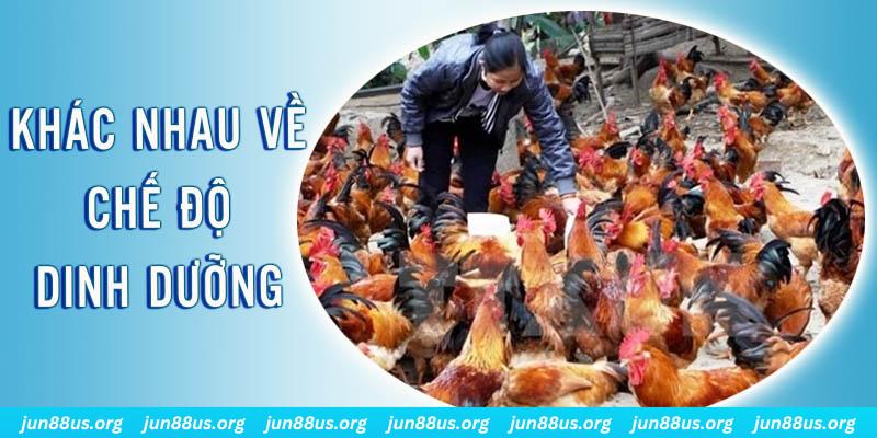 win 33 xổ số miền nam thứ năm hàng tuần