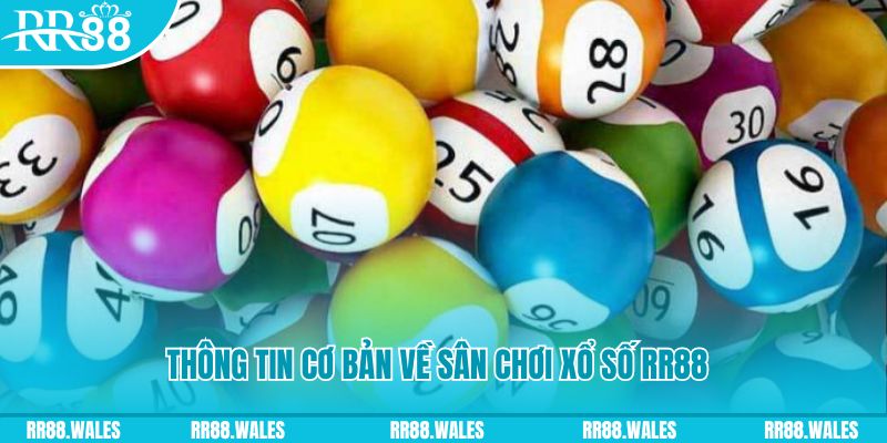 win 33 đá gà hôm nay