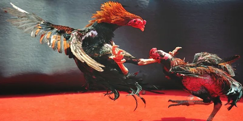 win 33 bắn cá h5 chơi ngay