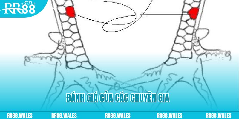 win 33 V8 Game Bài 3d