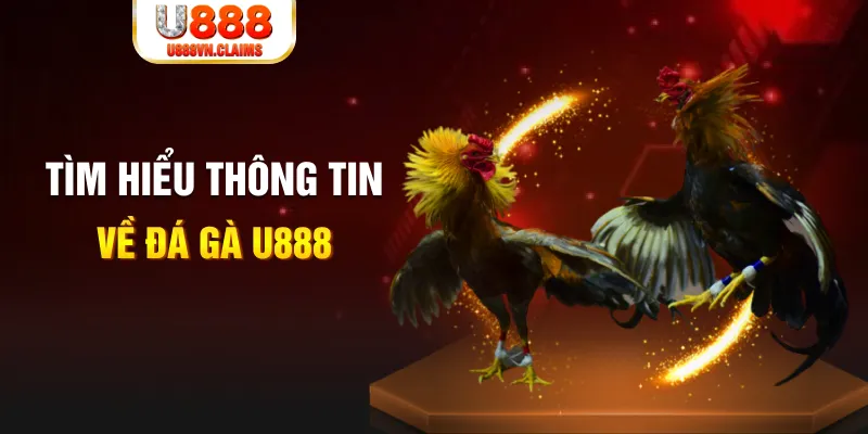 win 33 đăng nhập tiến lên miền nam hàng đầu