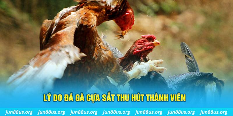 win 33 chiếm slot là gì