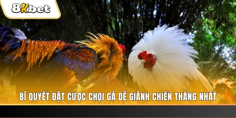 win 33 xổ số thứ hai hàng tuần