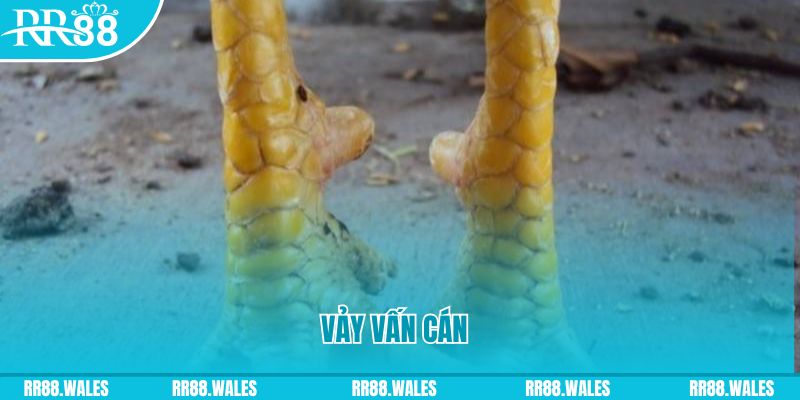 win 33 đăng nhập nổ hũ hôm nay