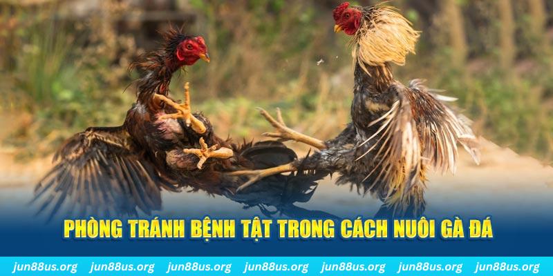 win 33 đăng nhập phỏm online