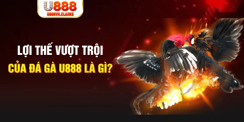 win 33 168G Điện Tử